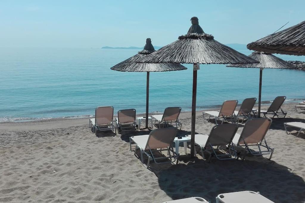 Cosy House Stratoni Chalkidiki 300M From Beach 외부 사진